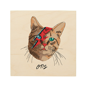 Personalized Wood Wall Art of your Cat!