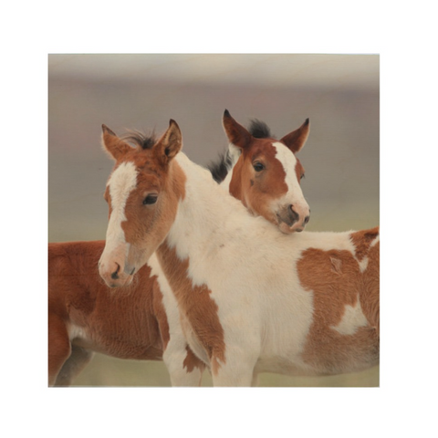 Horse Lovers Wood Wall Art // 8" x 8"