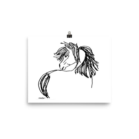 The Stallion
