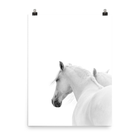 The White Horses