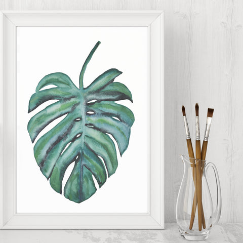 Monstera